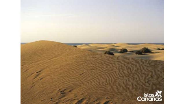 Pogoda Gran Canaria grudzień styczeń